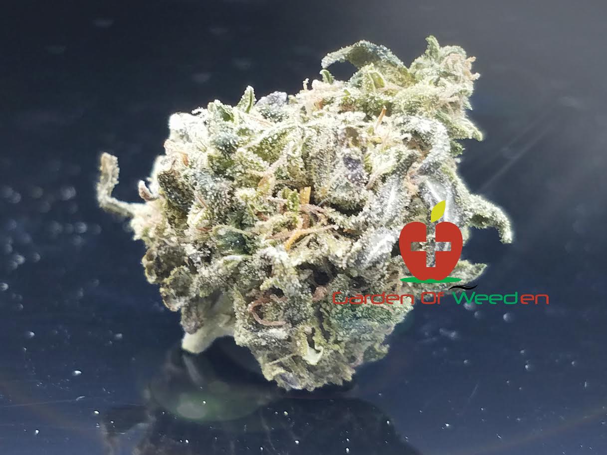 Cookies Kush Marijuana Strain Garden Of Weeden